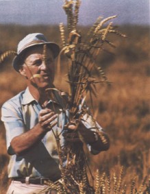 Borlaug002